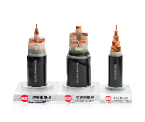XLPE 0.6/1kV IEC60502-1/SPLN 43-6 500 M Minimum Order Insulated Power Cable in Black Sheath or Customized Color